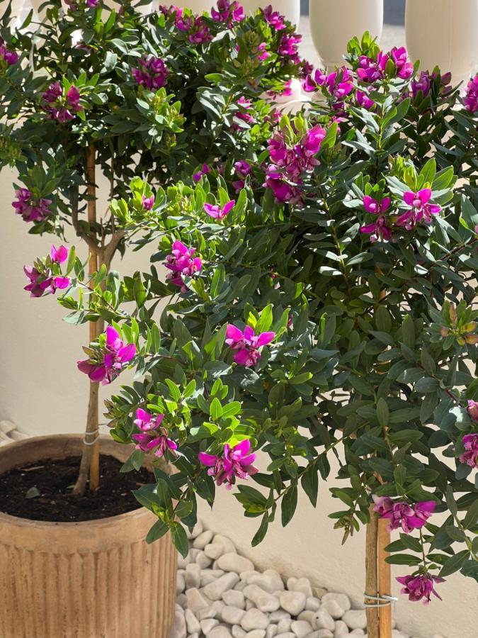 Fresh Apartment, 2 Bedroom, 2 Bathroom, 2 Lovely Poolareas Los Alcázares Eksteriør billede